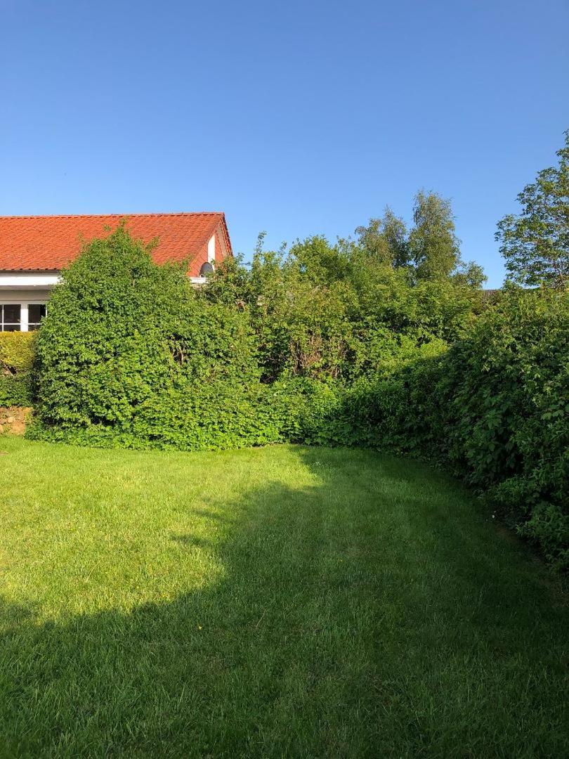 Schleihaus Hinterm Deich Ferienhaus